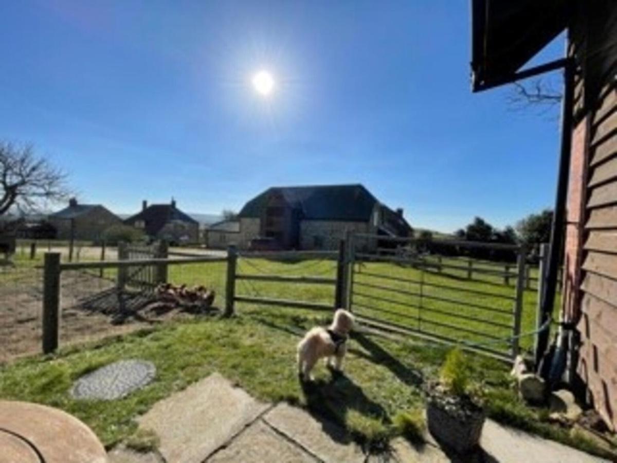 Poachers Hut - Captivating 1-Bed Cottage Shorwell المظهر الخارجي الصورة